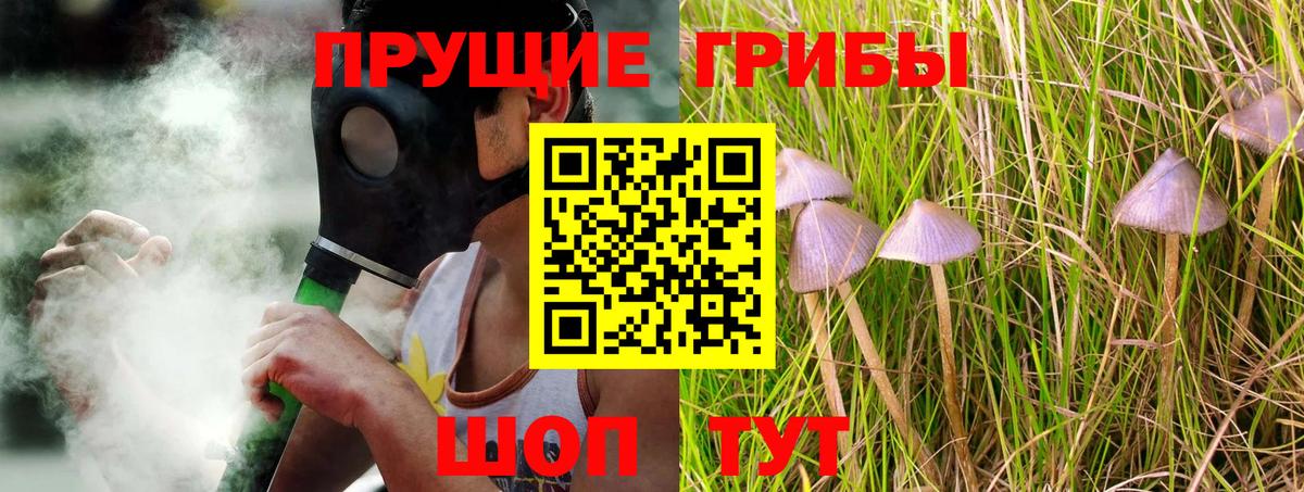 Псилоцибиновые грибы Cubensis  Псилоцибиновые грибы MAGIC MUSHROOMS  Абинск  Вход с VPN 